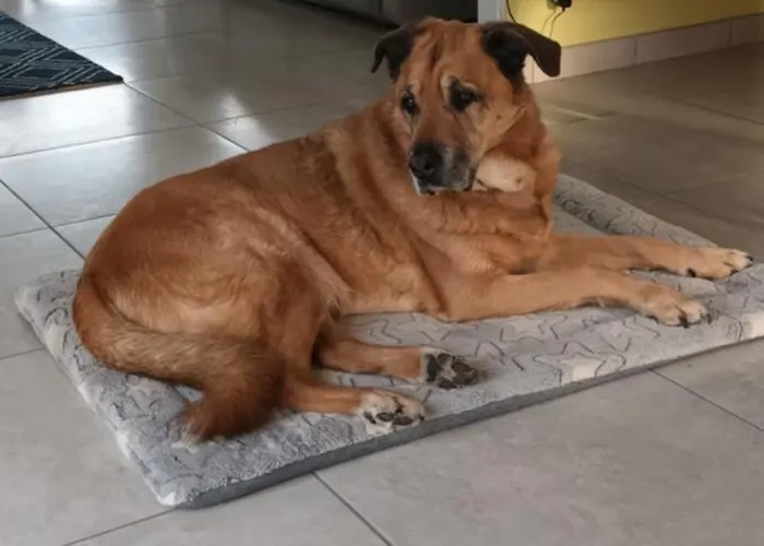 Couette-café Anémone 14 3*